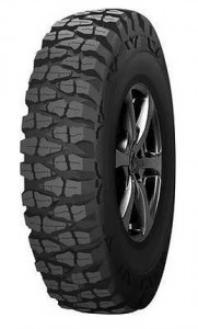 forward_safari_510
